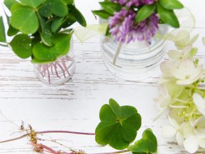 De kracht van essentiële oliën: Natuurlijke schoonheid en gezondheid in een flesje